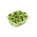 GOMAS GOTOGO AGUACATE X 60UND