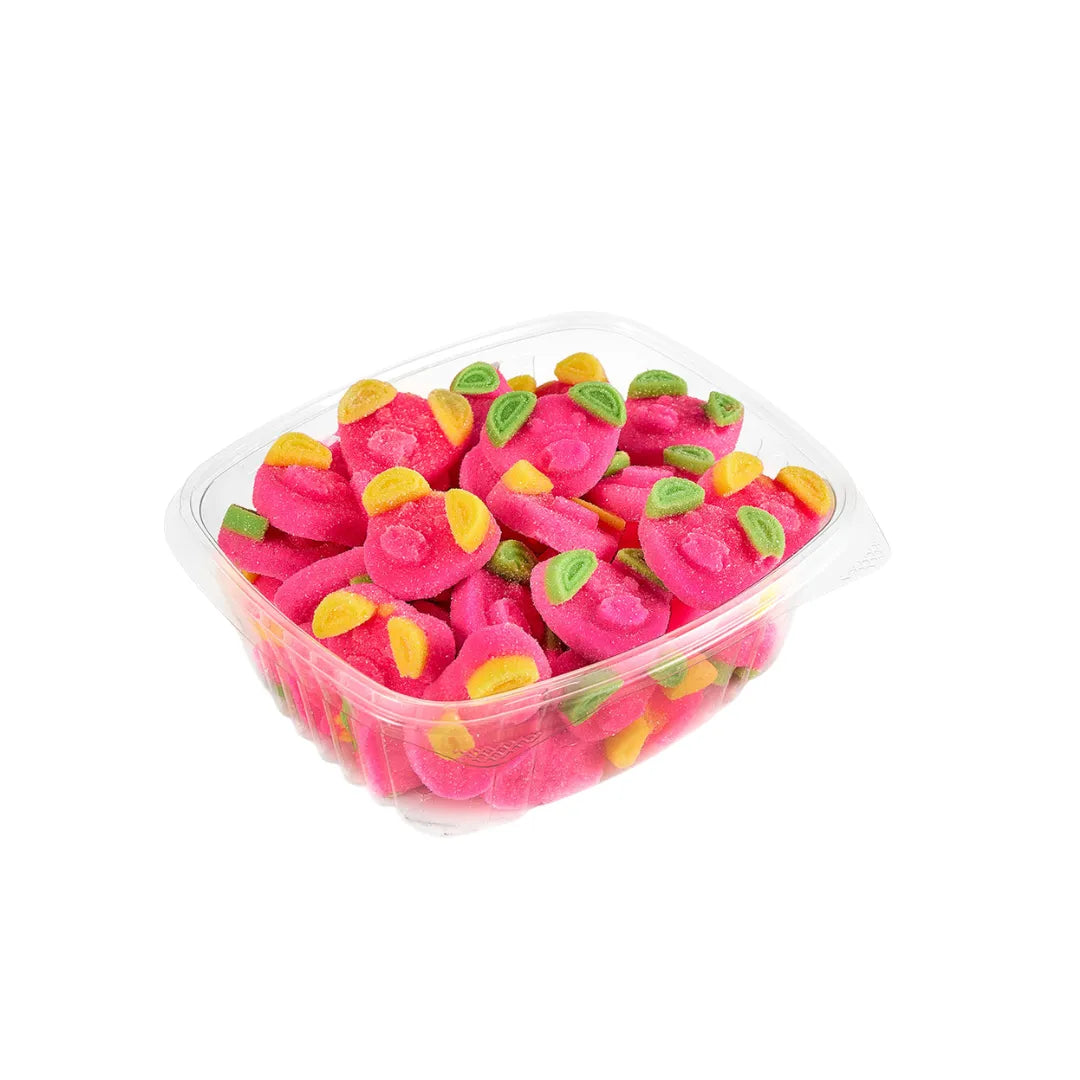 GOMAS GOTOGO PIGGY X 60UND