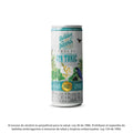 COCTEL GIN TONIC CALDAS X 295ML